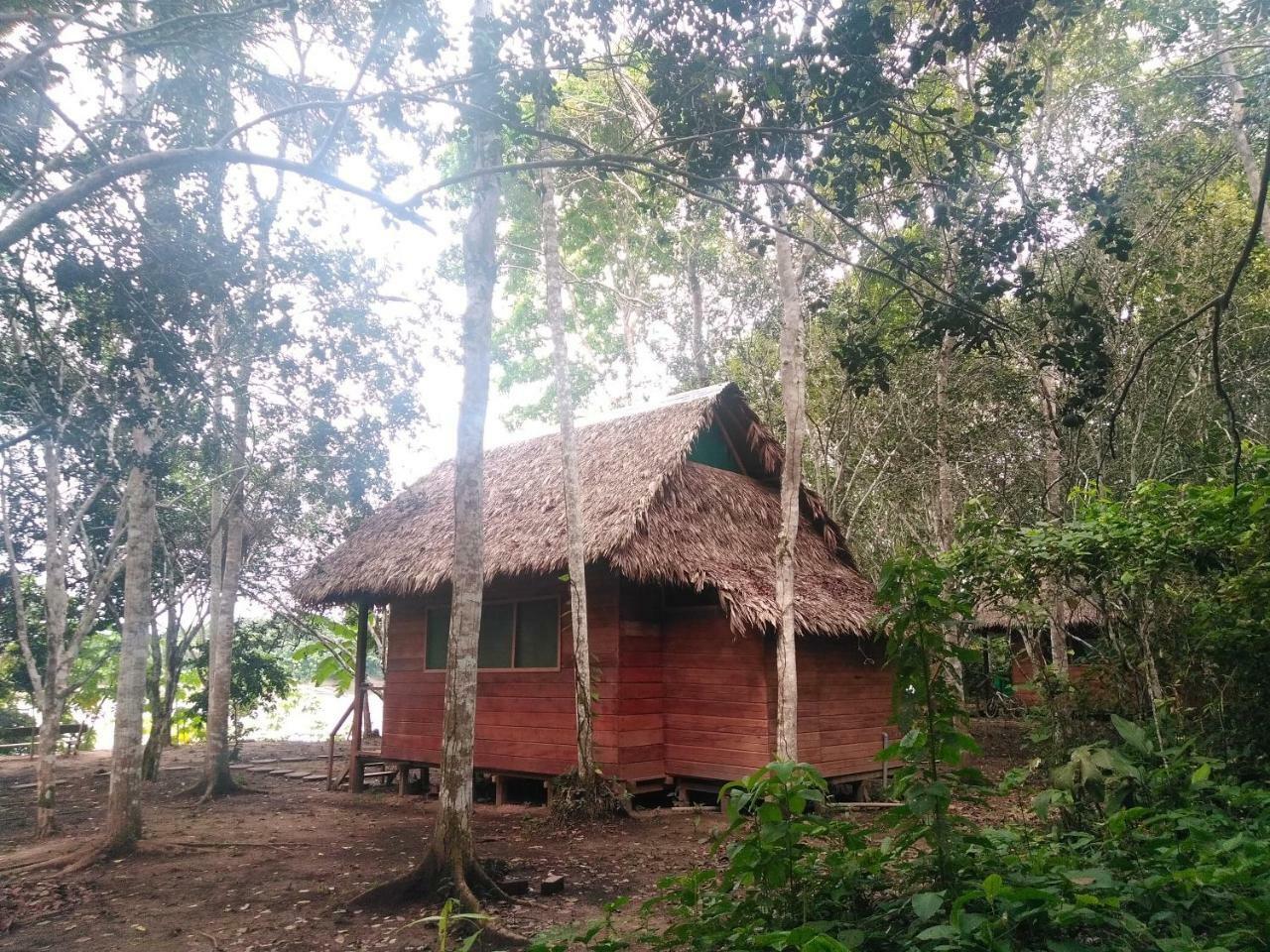 Majacho'S House Hostel Puerto Maldonado Ngoại thất bức ảnh
